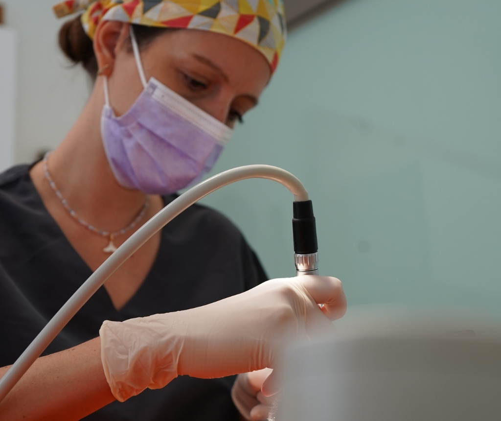 endodoncia Endodoncia